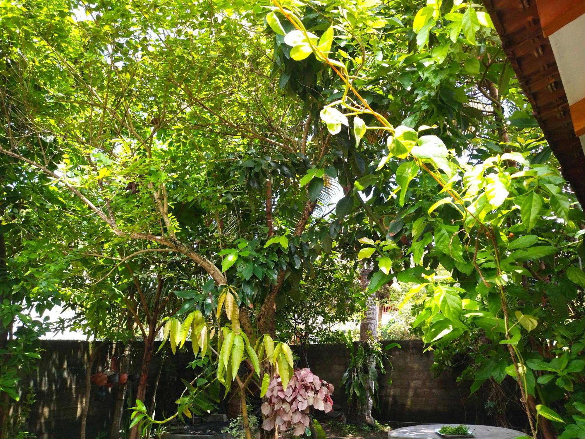 Mango Villa 703 Hikkaduwa Camera foto
